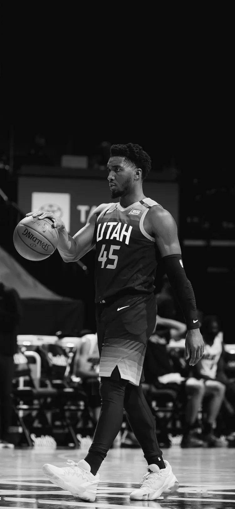 他的影响力 他的影响力